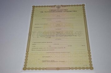 Свидетельство об Установлении Отцовства 2020г во Владивостоке